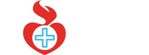 logo sester boromejek